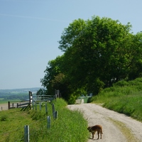 Photo de belgique - Waulsort, perle de la Meuse